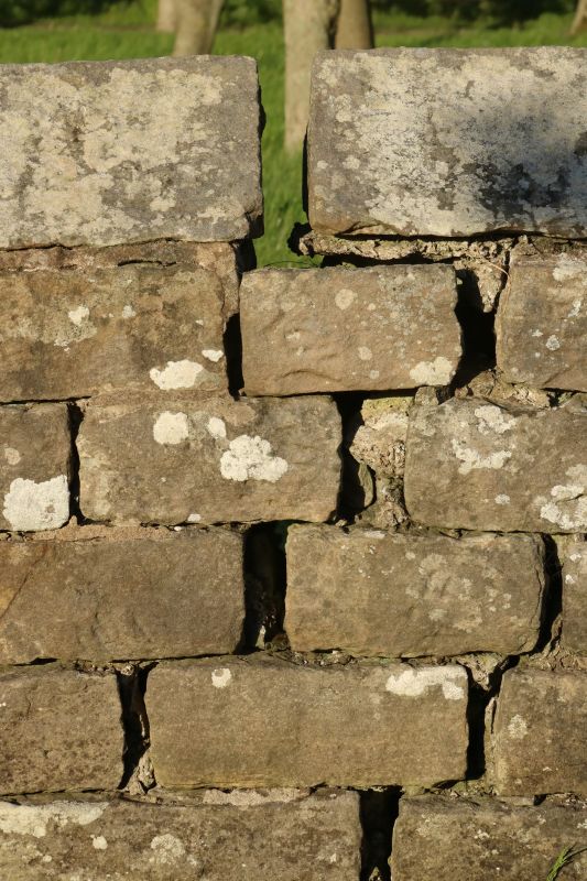 Stone Wall Repair in Lawton, IA